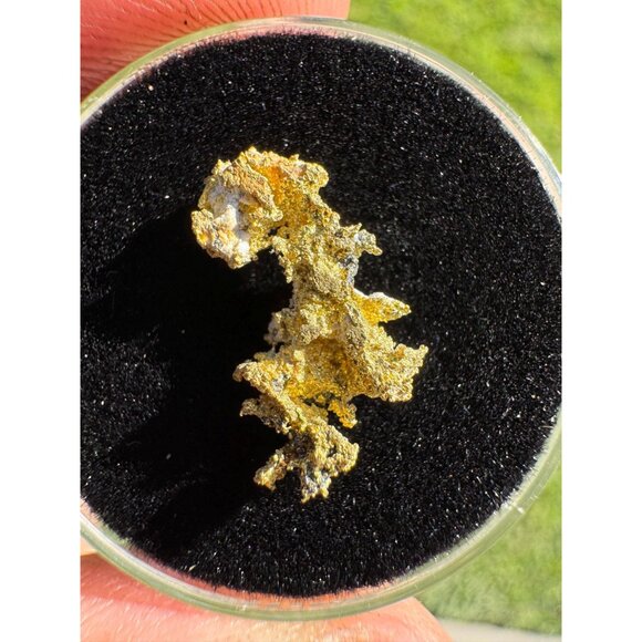 California Native Gold Crystal - 0.83 grams - Picture 6 of 9